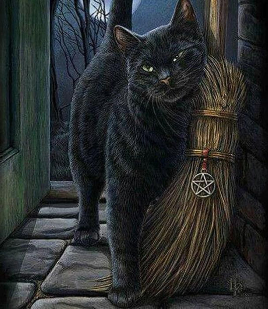 Katze mit Besen-Diamond Painting - Diamond Painting