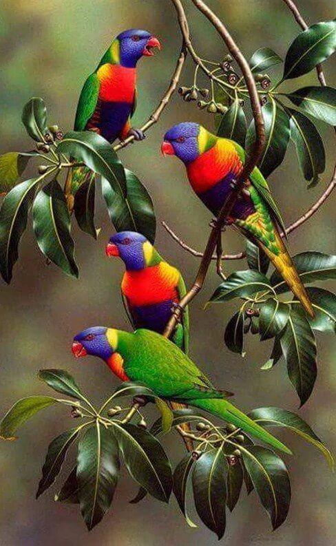 Bunte Papageien auf Ästen - Diamond Painting