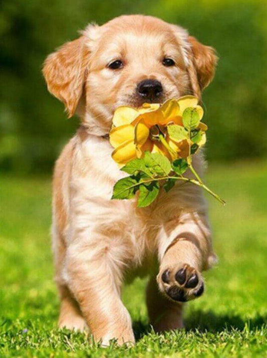 Hund läuft mit Blume im Mund - Diamond Painting
