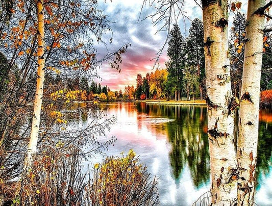 Waldlandschaft Malerei - Diamond Painting