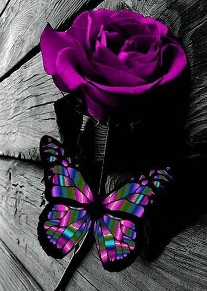 Lila Rose und Schmetterling - Diamond Painting