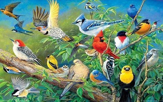 Sammlung von Vögeln DIY Diamantmalerei - Diamond Painting