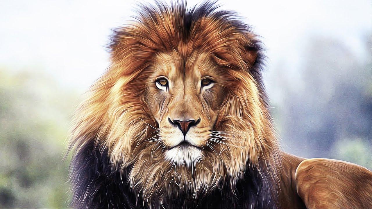 Diamond painting Löwe