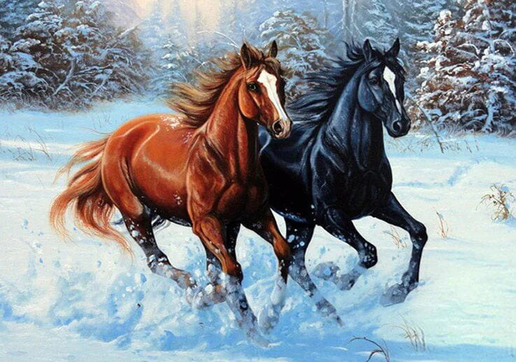Diamond Painting Pferde