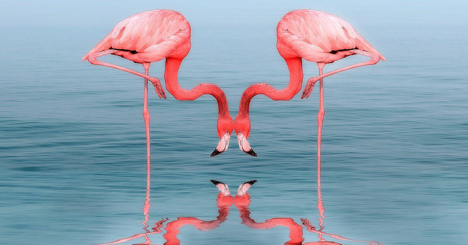 Diamond Painting Flamingo