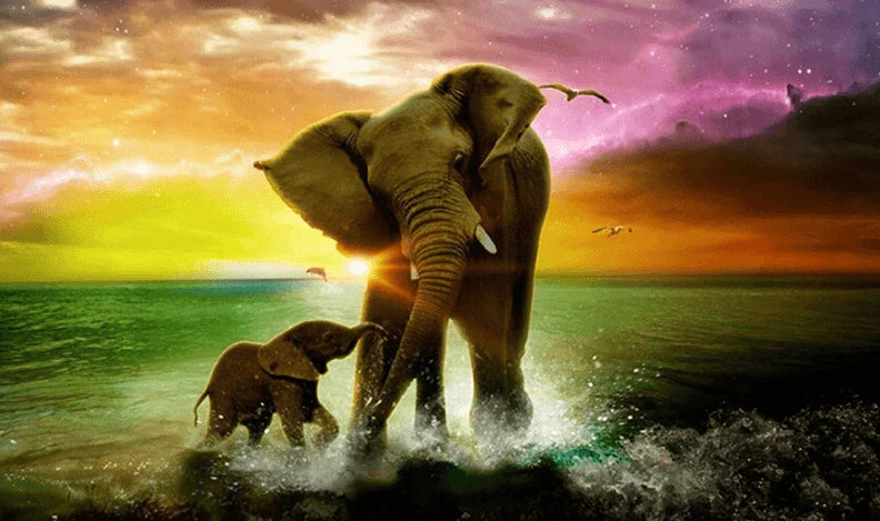 Diamond Painting Elefant