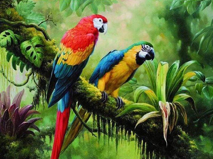 Diamond Painting Papagei