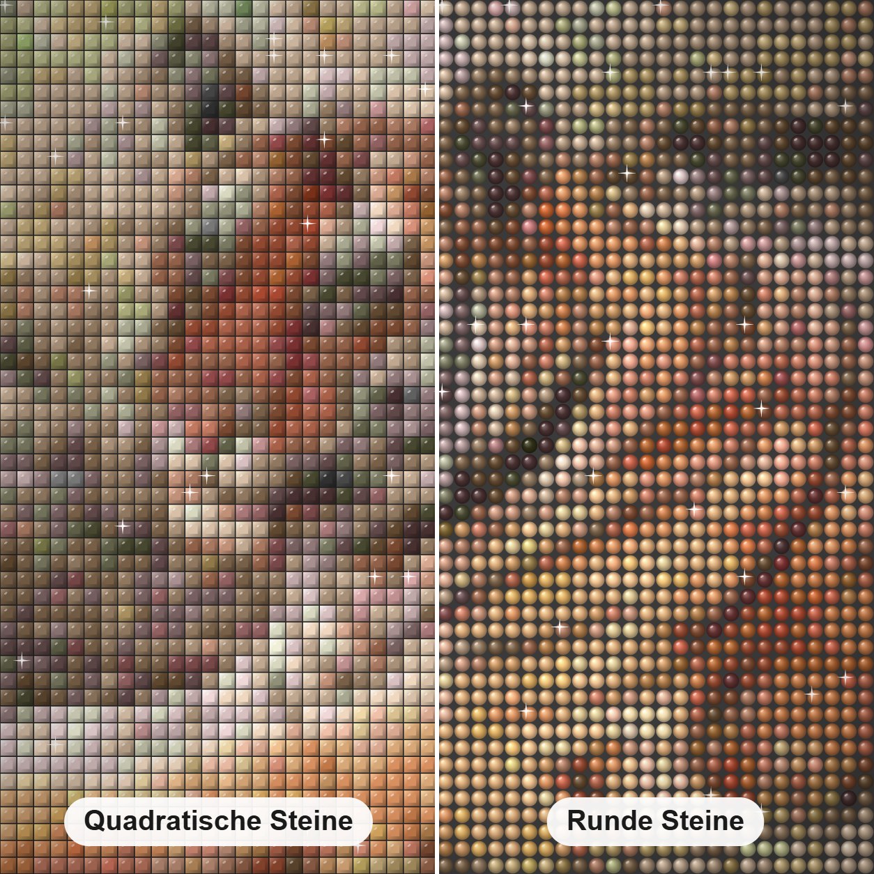 Bandhavgar Tiger -  Kunst des Eric Wilson Diamond Painting Nahaufnahme mit quadratischen und runden Steinen