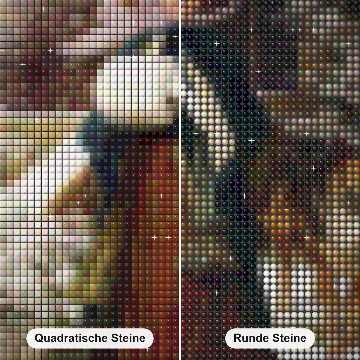 Ein Winter stieg von Sydney Kendrick Diamond Painting Nahaufnahme mit quadratischen und runden Steinen