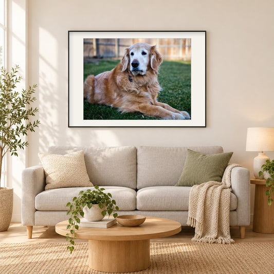 Golden Retriever Hund als gerahmtes Diamond Painting im Wohnzimmer