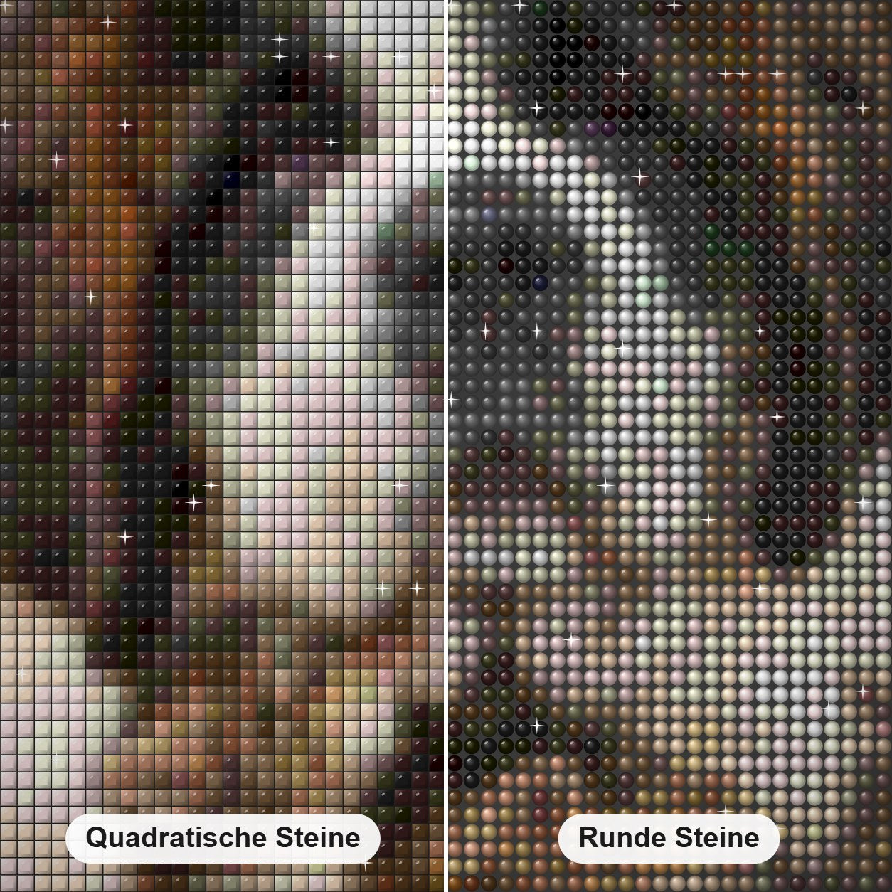 Hund mit drei Kätzchen Diamond Painting Nahaufnahme mit quadratischen und runden Steinen
