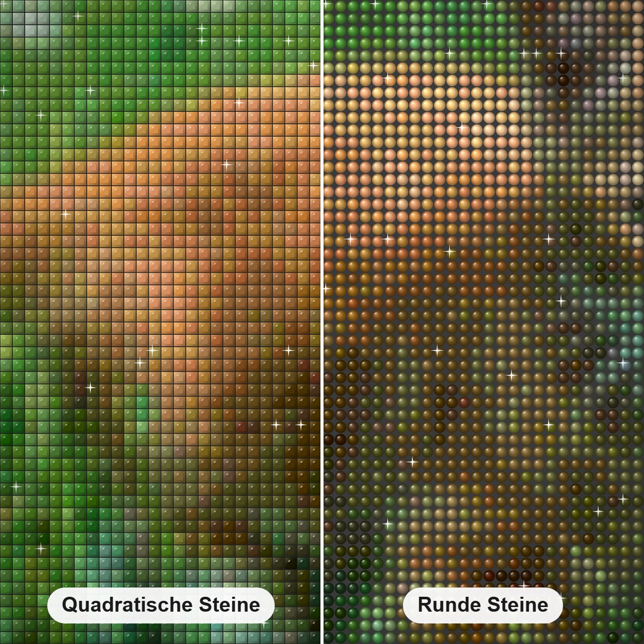 Nettes Kätzchen und Grünes Gras Diamond Painting Nahaufnahme mit quadratischen und runden Steinen