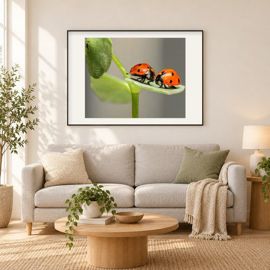 Paar Marienkäfer als gerahmtes Diamond Painting im Wohnzimmer