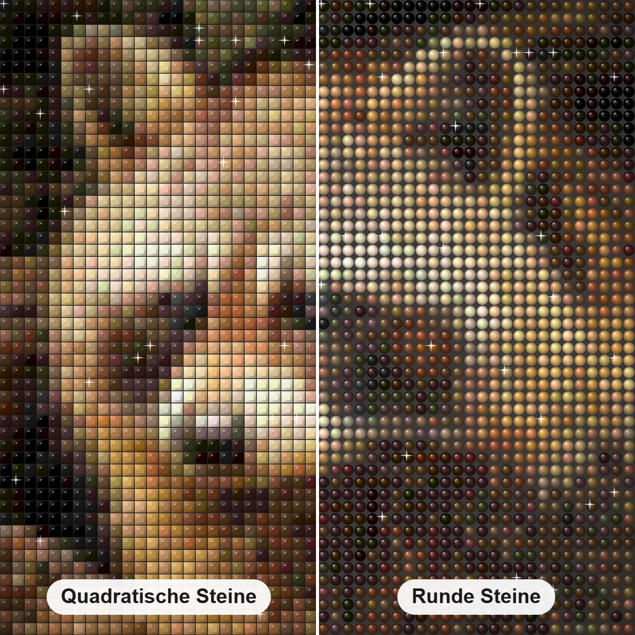 Waschbär - Kunst des Denise Dundon Diamond Painting Nahaufnahme mit quadratischen und runden Steinen