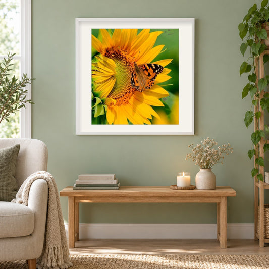Schmetterling & Sonnenblume hautnah als gerahmtes Diamond Painting im Wohnzimmer
