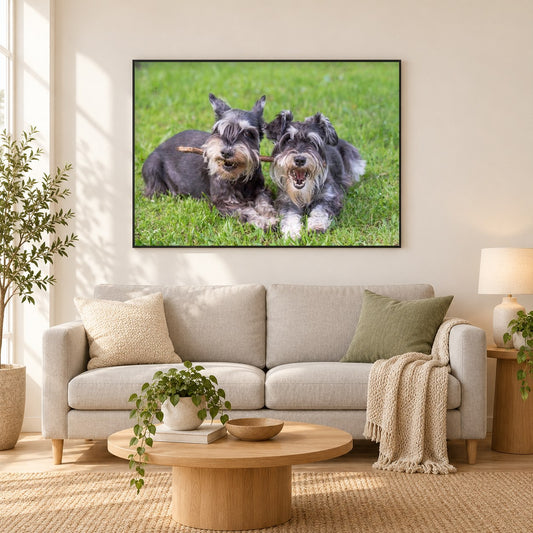 Schnauzer Lady & die Tramp Dogs. als gerahmtes Diamond Painting im Wohnzimmer