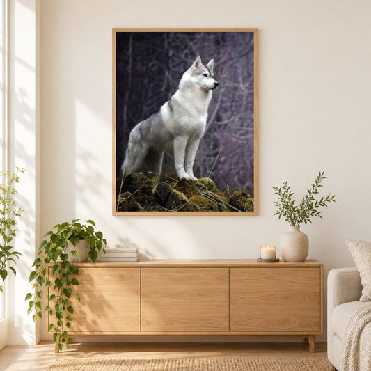 Siberian Husky als gerahmtes Diamond Painting im Wohnzimmer