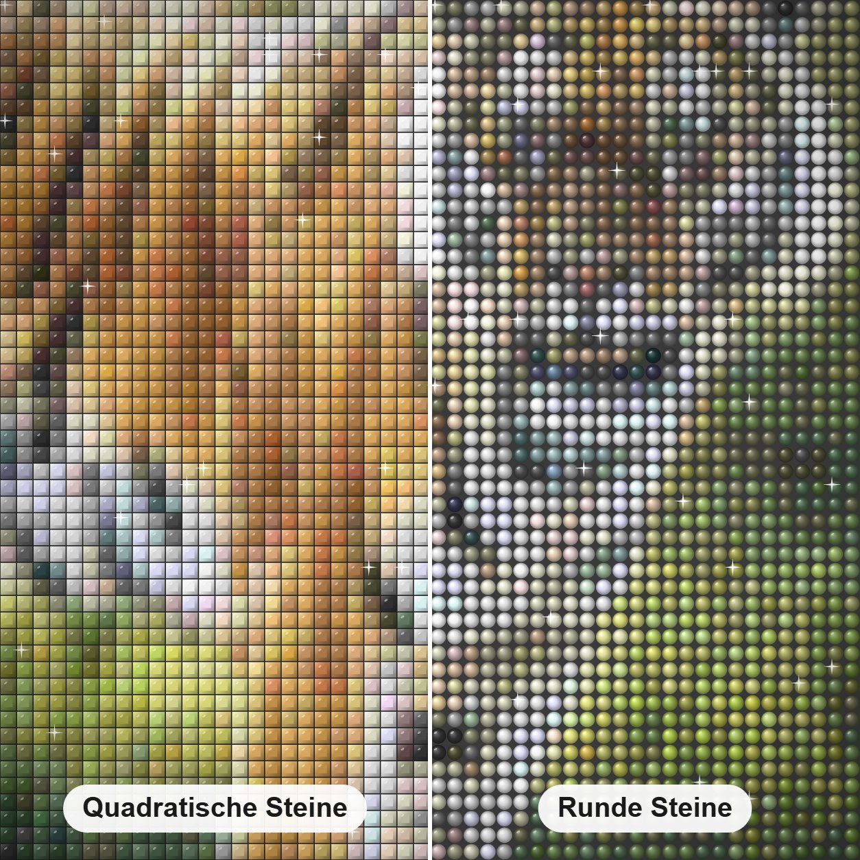Tiger in Chitwan -  Kunst des Eric Wilson Diamond Painting Nahaufnahme mit quadratischen und runden Steinen