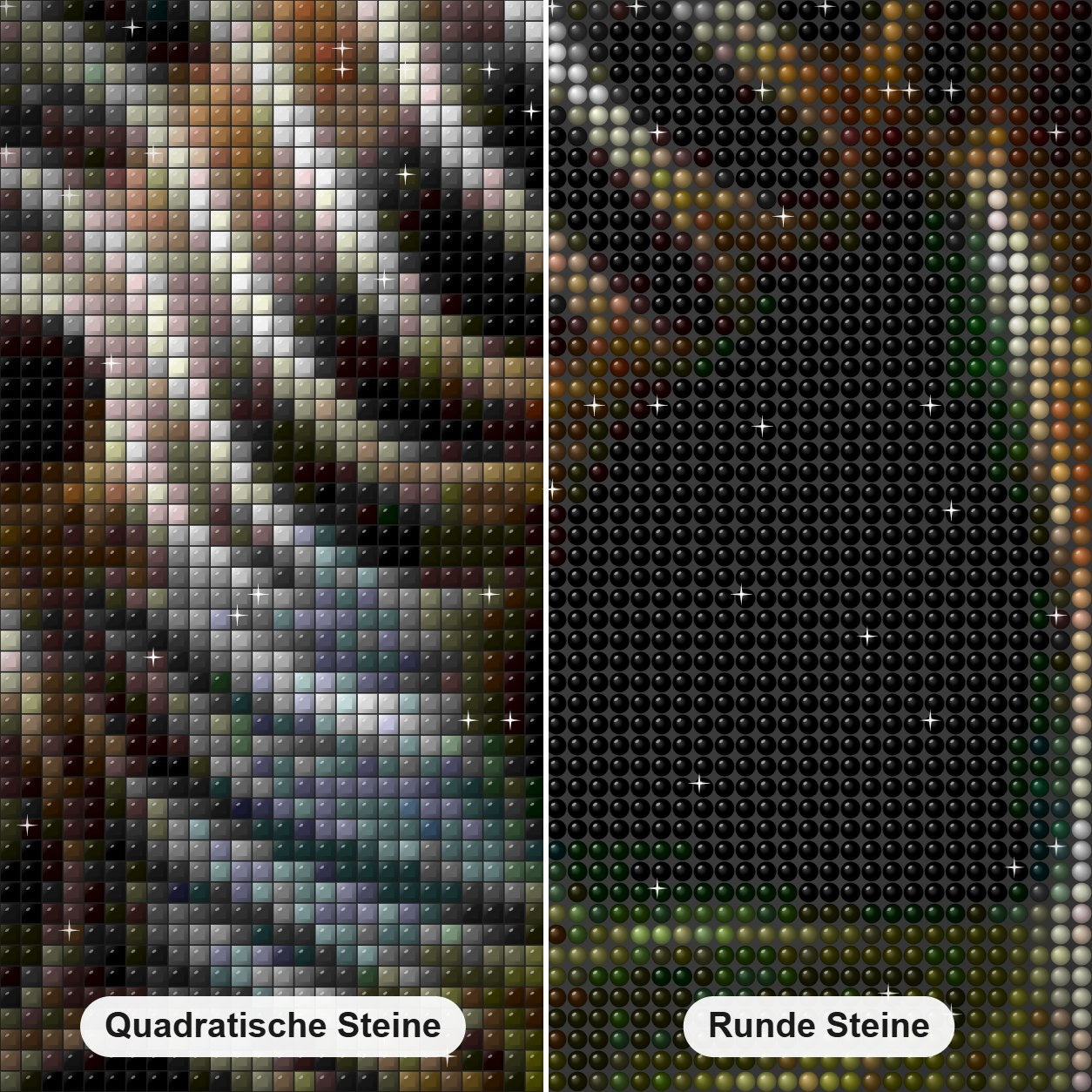 Weidendes Zebra - Diamant Art Kit Diamond Painting Nahaufnahme mit quadratischen und runden Steinen