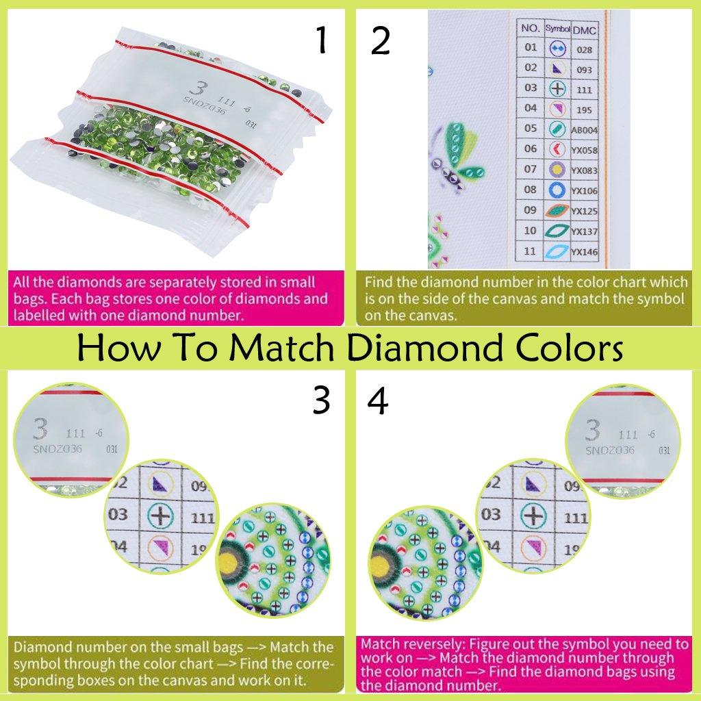 Mehrfarbige Rosen in einer Vase Album Cover - Diamond Painting