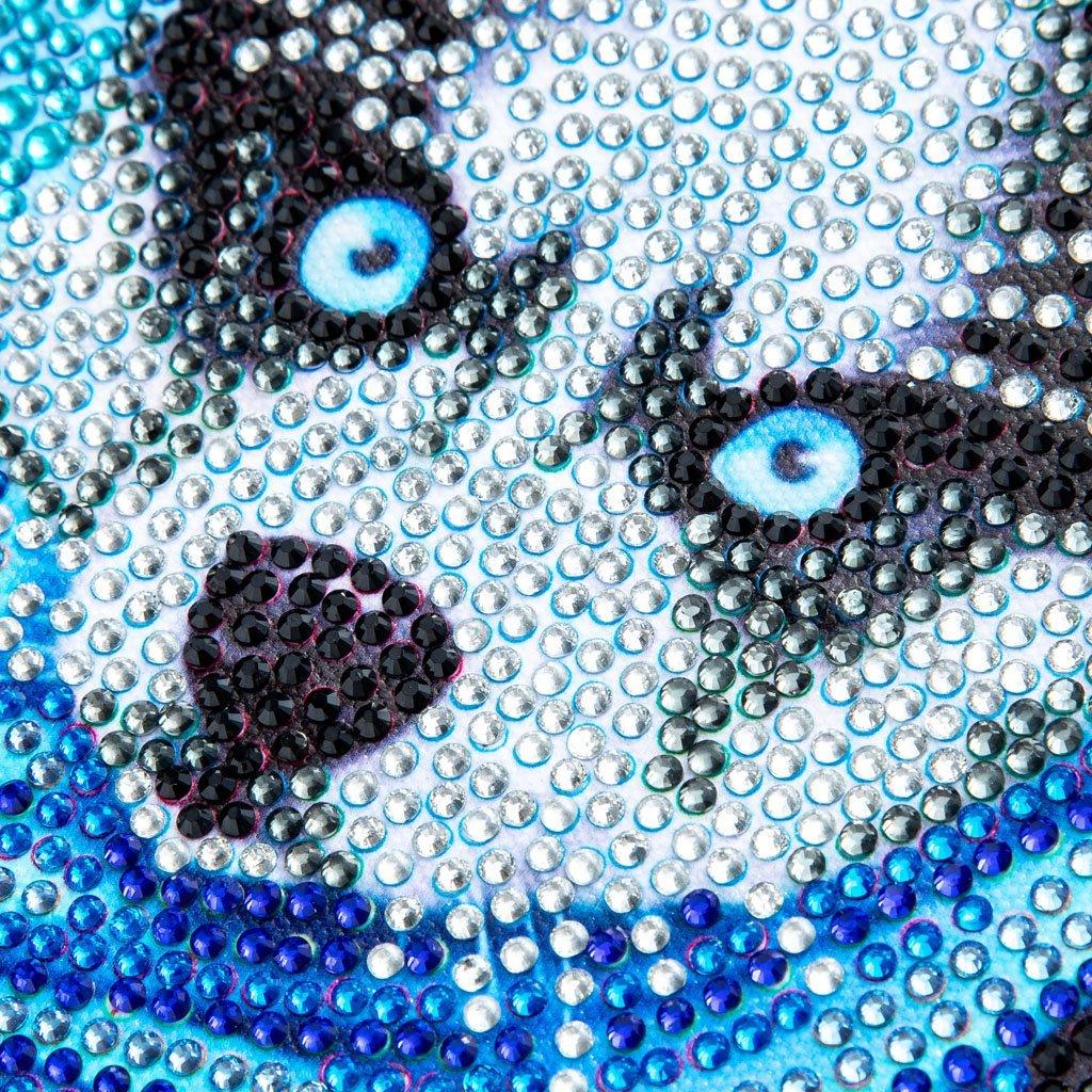 Husky mit Schal Speziell Diamond Painting - Diamond Painting