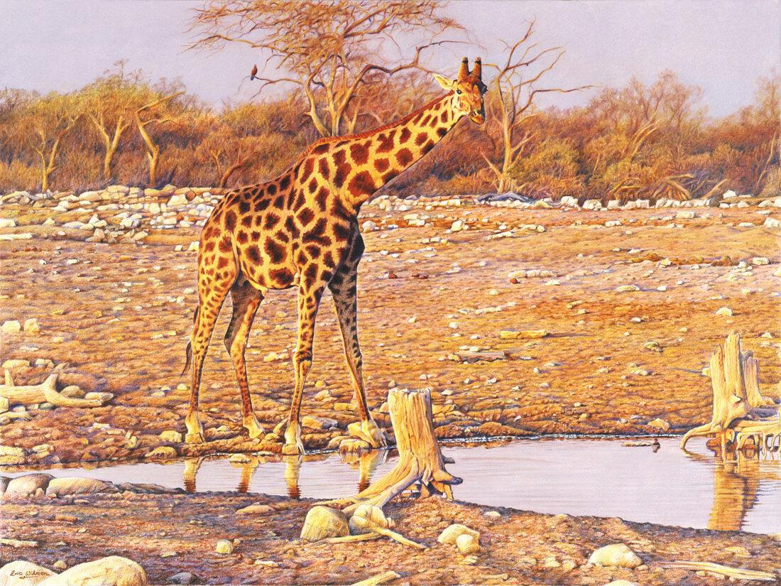Nachmittagsglühen -  Kunst des Eric Wilson - Diamond Painting