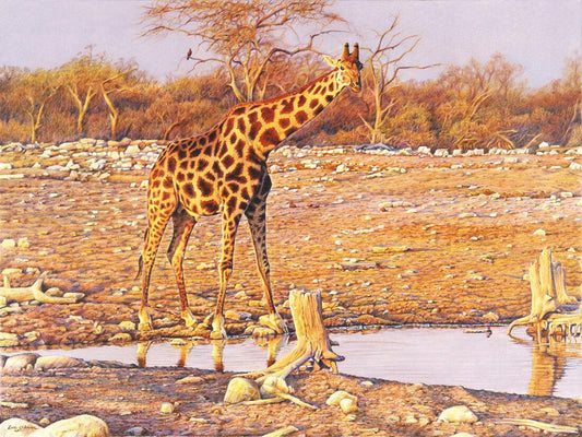 Nachmittagsglühen -  Kunst des Eric Wilson - Diamond Painting
