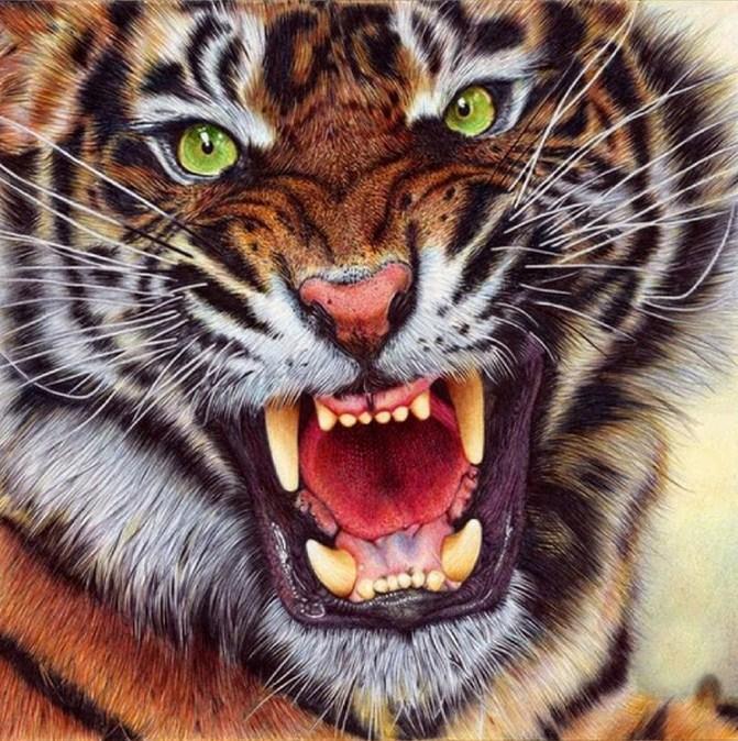 wütender Tiger - Malen mit Diamanten - Diamond Painting