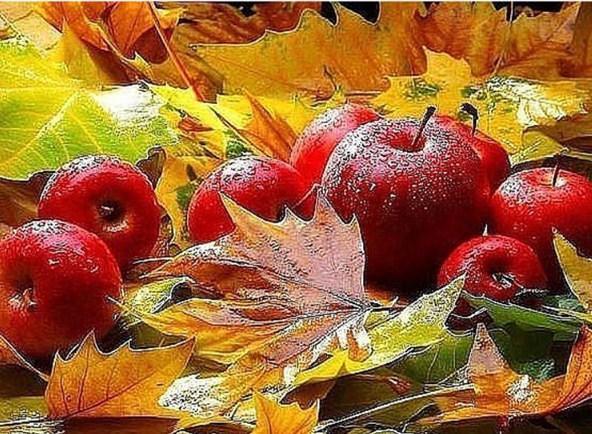 Herbstblätter und Früchte - Diamond Painting