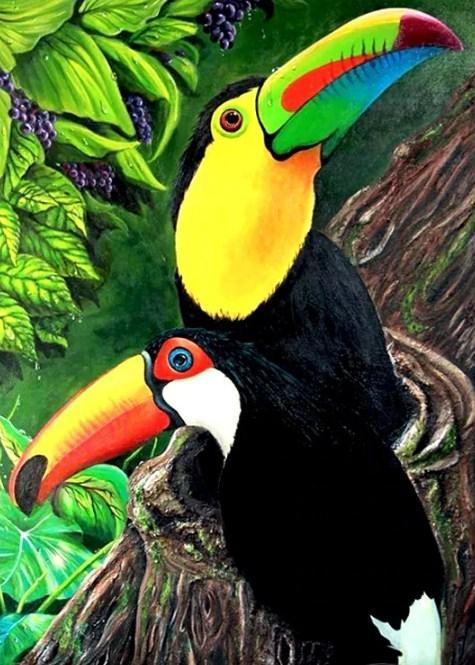 Schönes Paar Tukanvögel - Diamond Painting