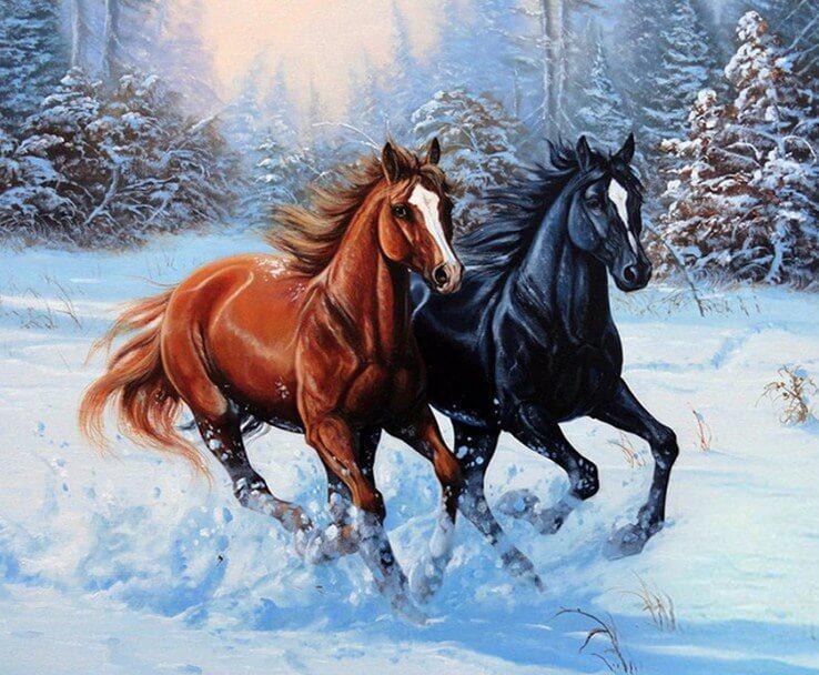Schwarz & Braun Pferde Malerei - Diamond Painting