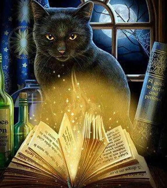 Schwarze Katze & Zauberbuch - Diamond Painting