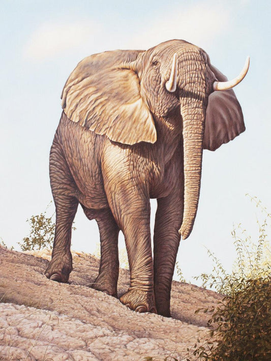 Elefantenbulle Simbabwe - Kunst des Eric Wilson - Diamond Painting