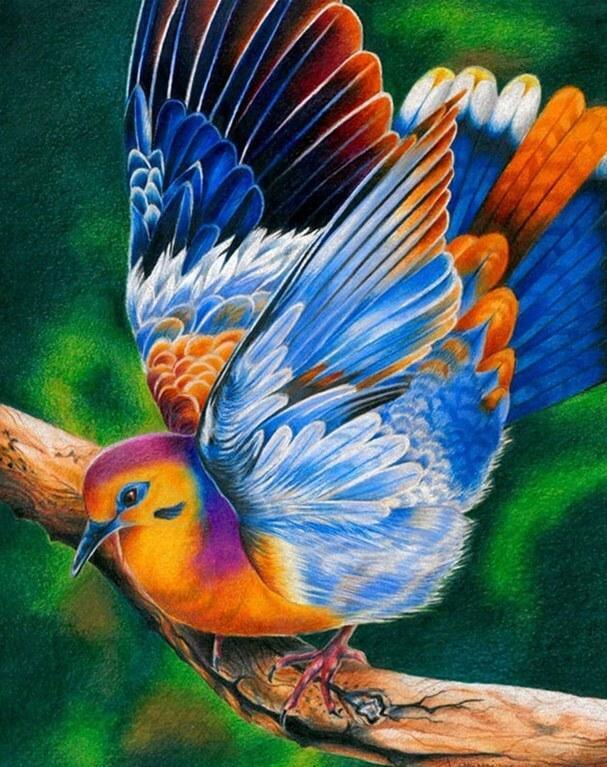 Buntes Taubenmalerei-Kit - Diamond Painting