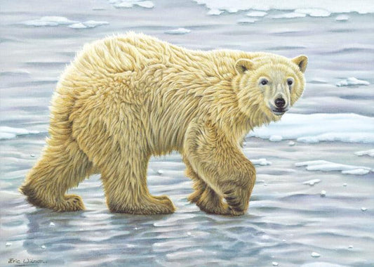 Neugieriges Eisbärjunges -  Kunst des Eric Wilson - Diamond Painting