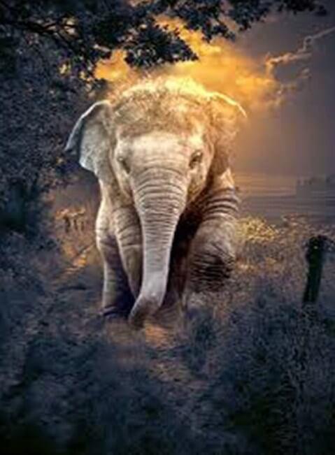 Netter Baby-Elefant - Diamond Painting