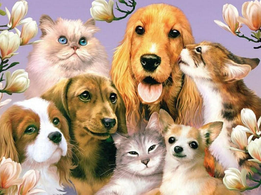 Hunde & Katzen sind Freunde - Diamond Painting