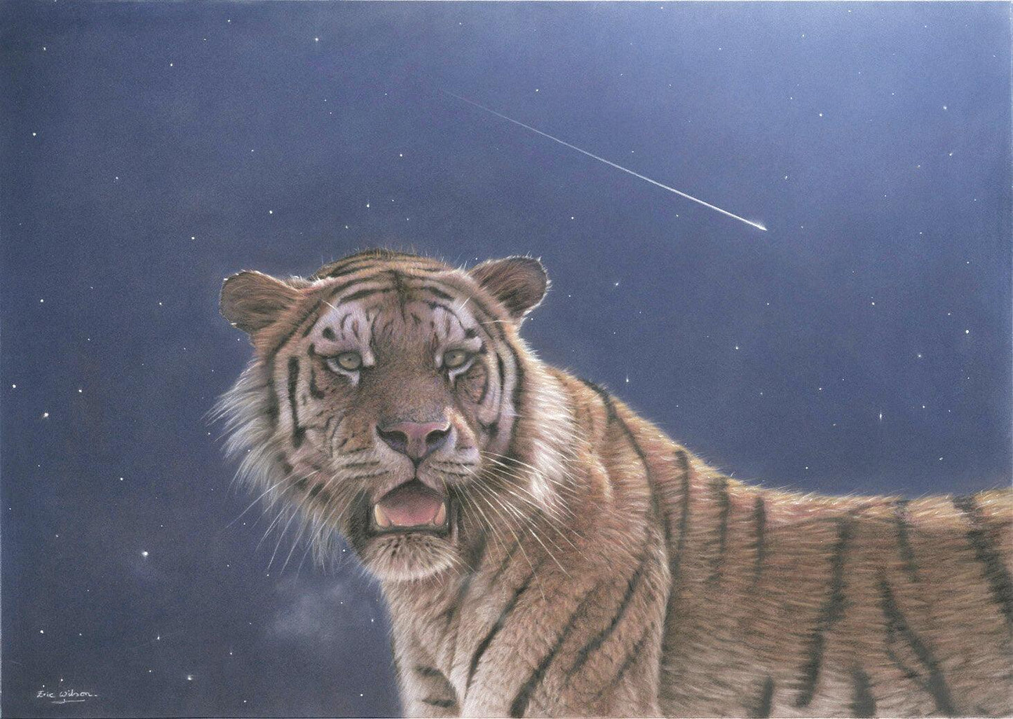 fallender Stern -  Kunst des Eric Wilson - Diamond Painting