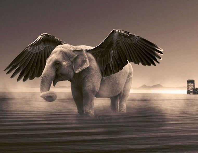 Fantasie fliegender Elefant Diamantmalerei - Diamond Painting