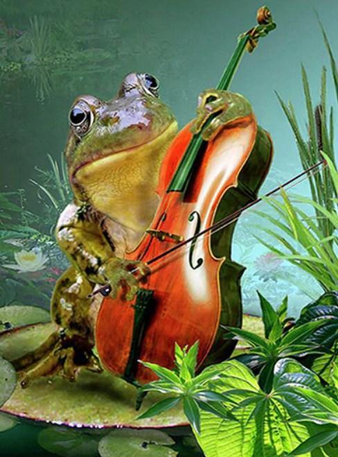 Frosch spielt Gitarr - Diamond Painting
