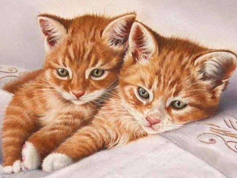 Ingwer-Katzenpaar- Diamond Painting Kit - Diamond Painting