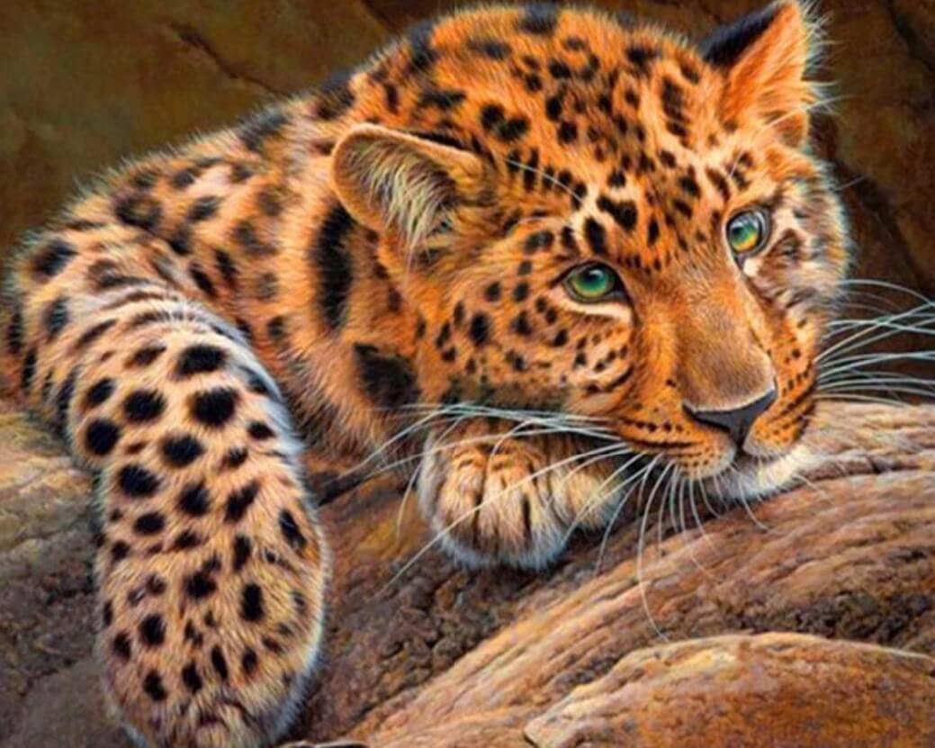 Grünäugiger Gepard Diamond Painting - Diamond Painting