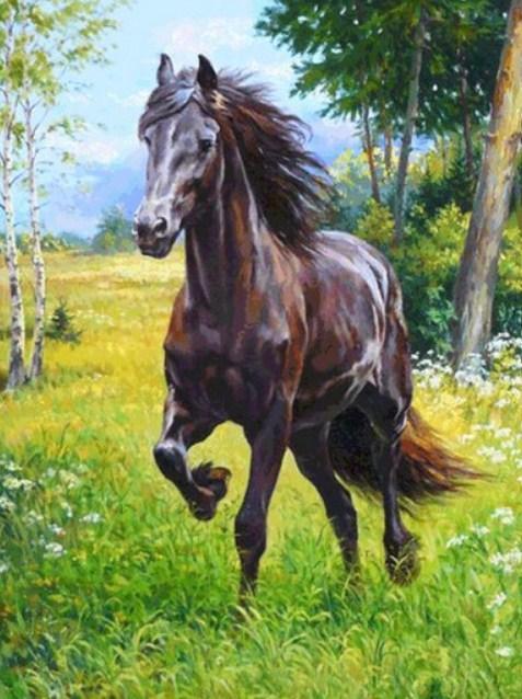 Pferderen in den Wiesen - Diamond Painting