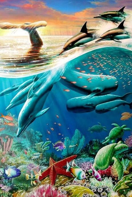 Killerwale und Delfine Diamond Painting - Diamond Painting