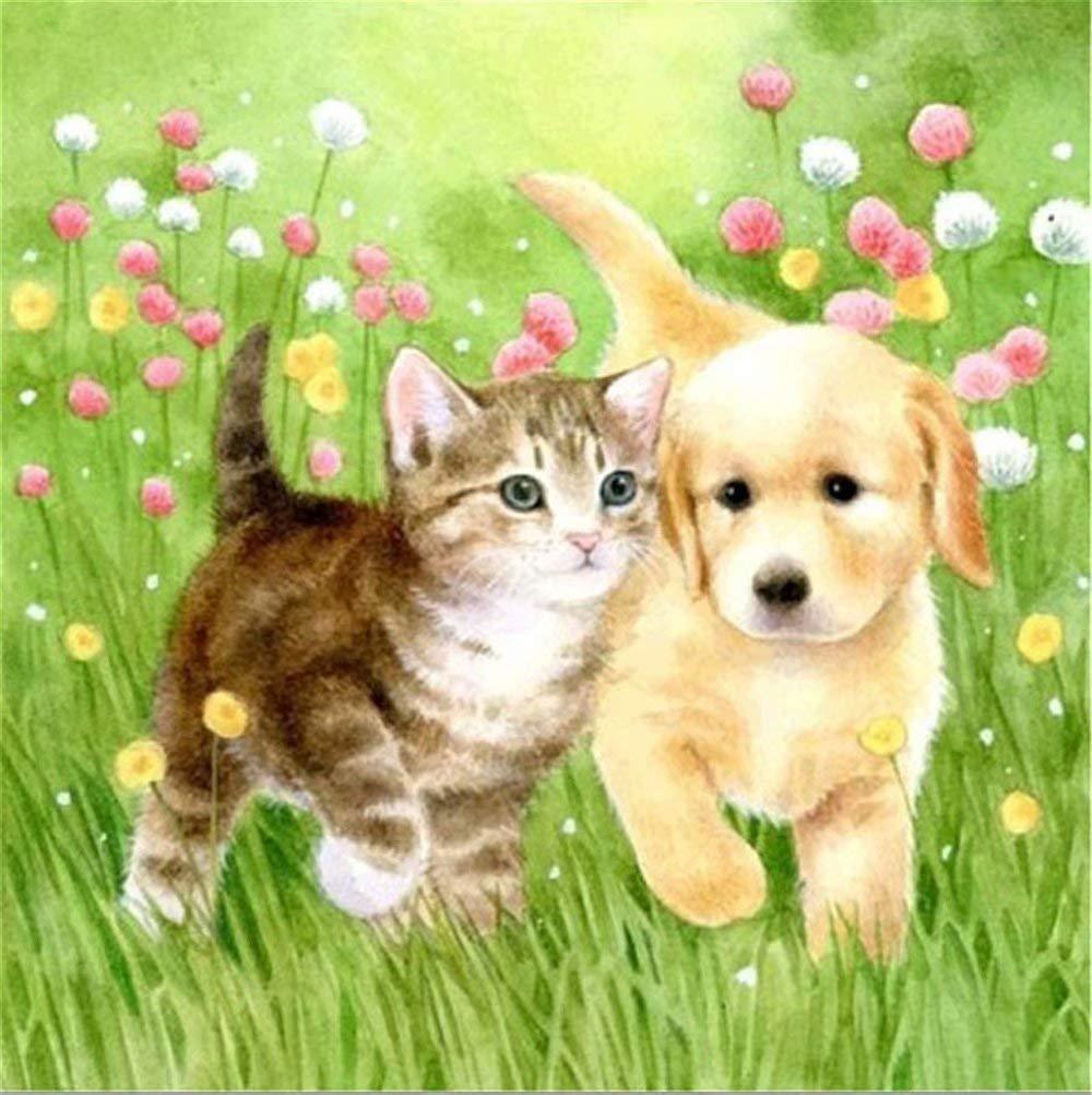 Kätzchen & Welpe im Garten - Diamond Painting