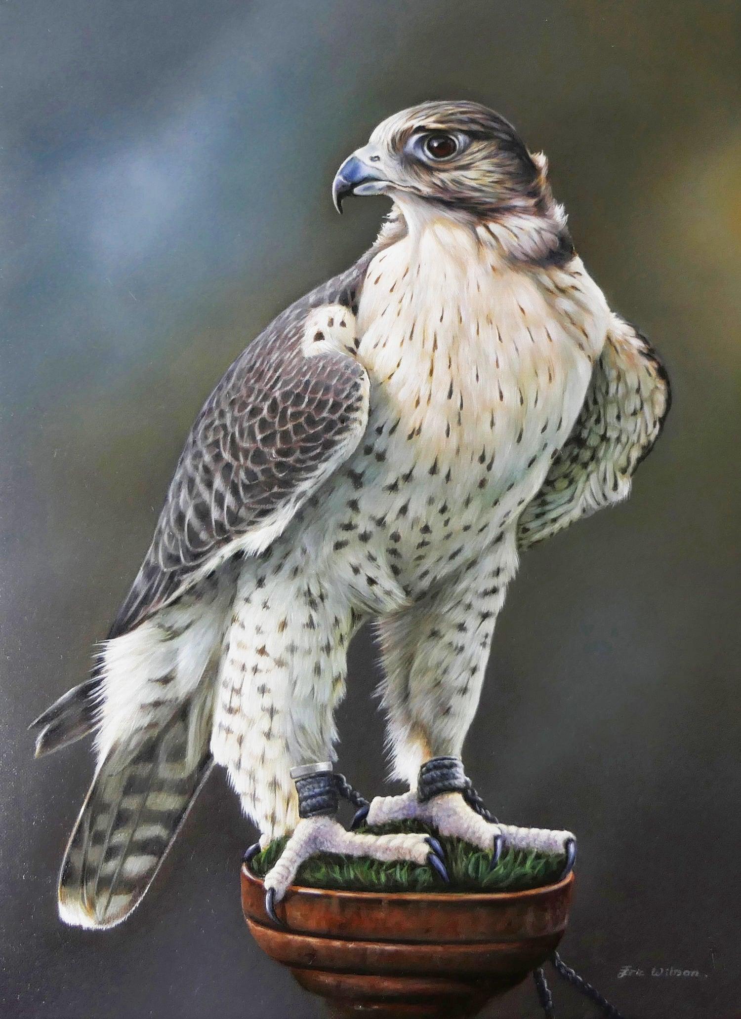 Lanner Falke -  Kunst des Eric Wilson - Diamond Painting