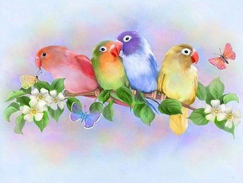 Liebesvögel, die Kit malen - Diamond Painting