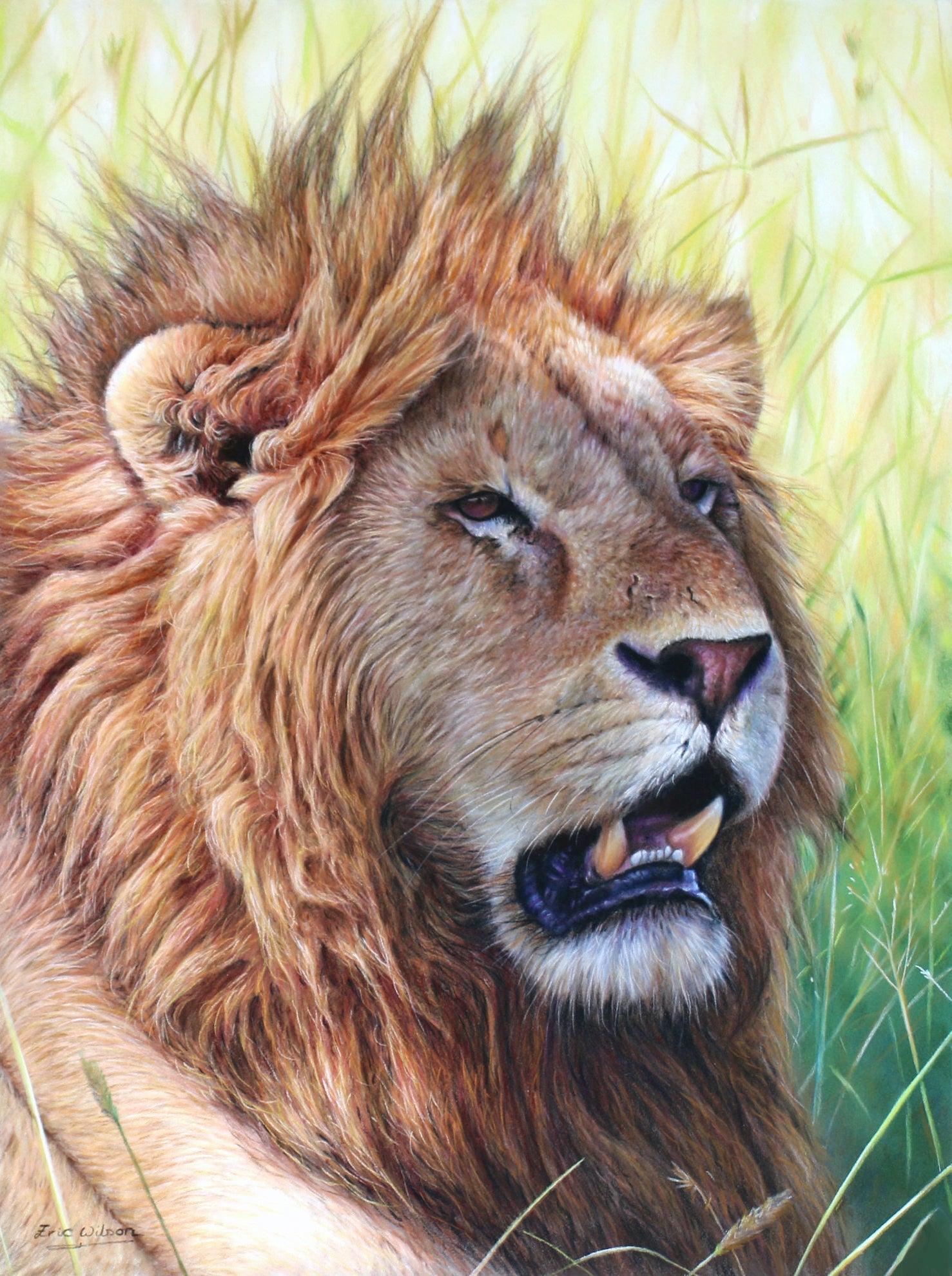 Masai Mara Löwe -  Kunst des Eric Wilson - Diamond Painting