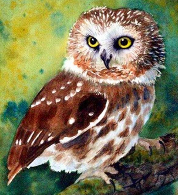 Nördliche Eule mit Säge Diamond Painting - Diamond Painting