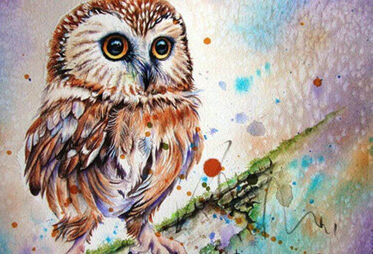 Eule DIY Malerei Kit - Diamond Painting